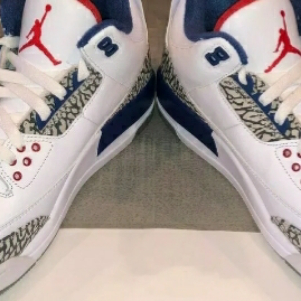 Nike Air Jordan 3's "True Blues"